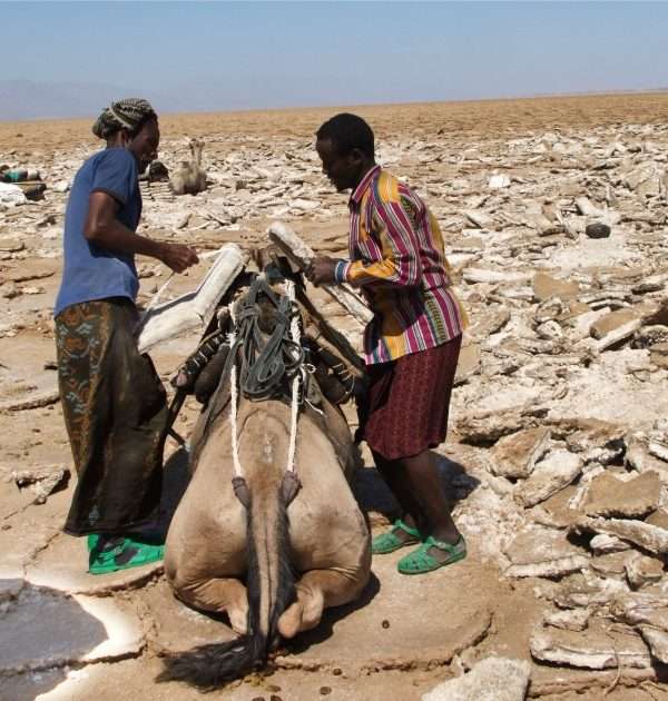 Witness the Danakil Depression