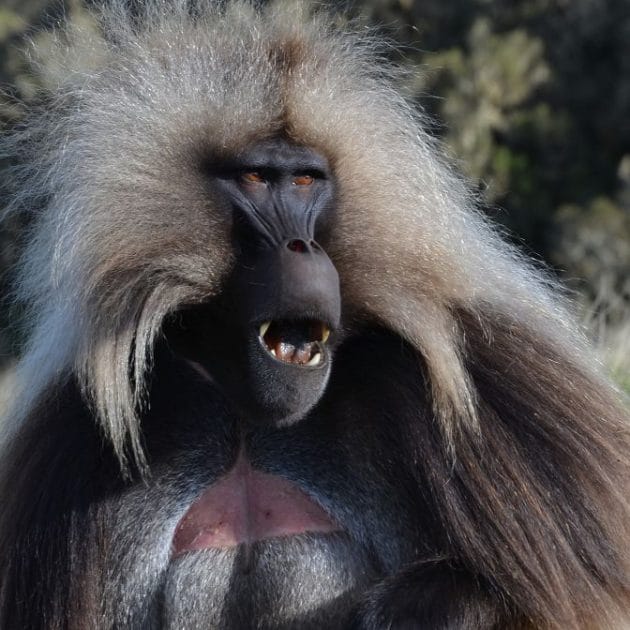 Ethiopia Highlights Tour