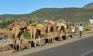 Top Ethiopia Tours