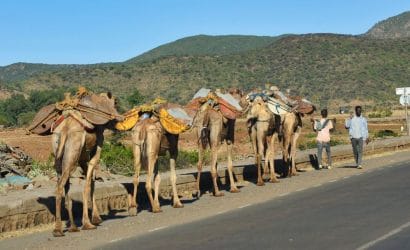 Top Ethiopia Tours