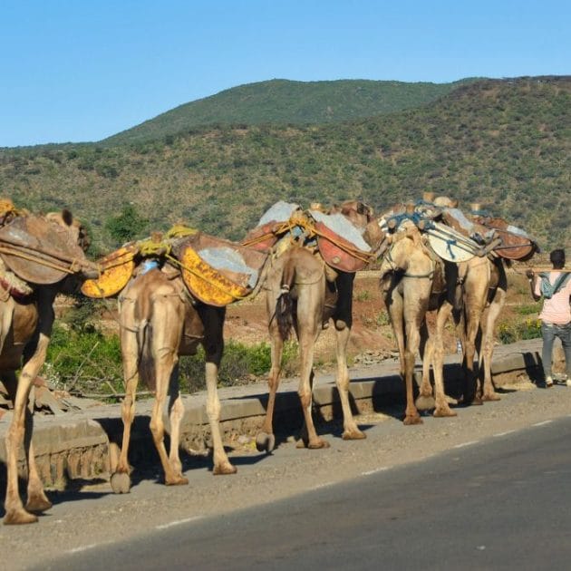 Top Ethiopia Tours