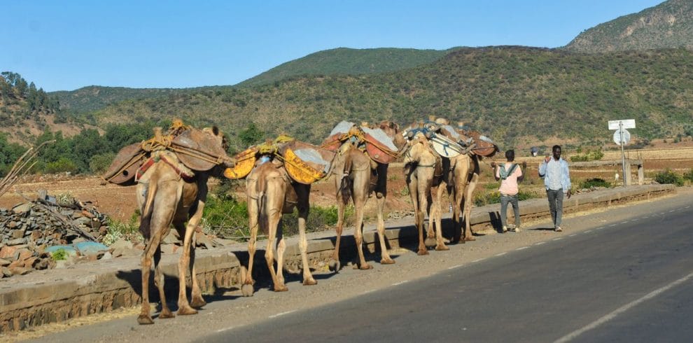 Top Ethiopia Tours
