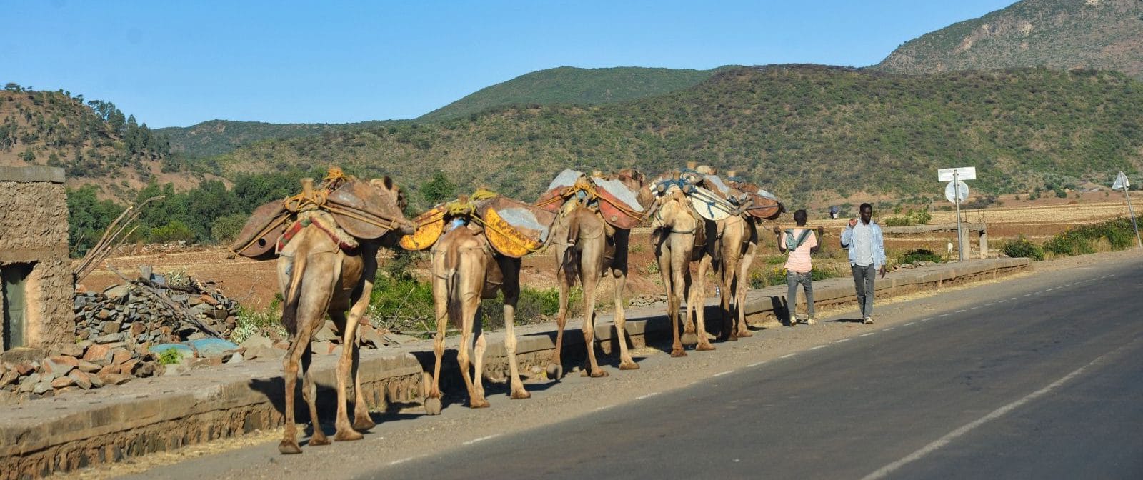 Top Ethiopia Tours