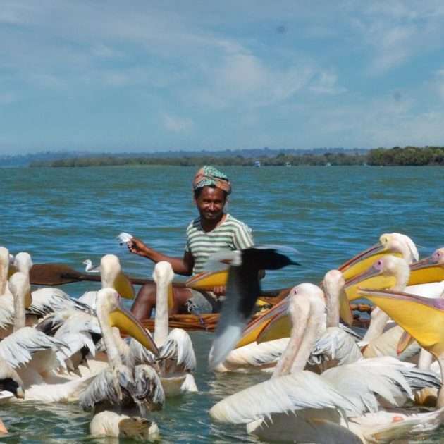 Northern Ethiopia Tour