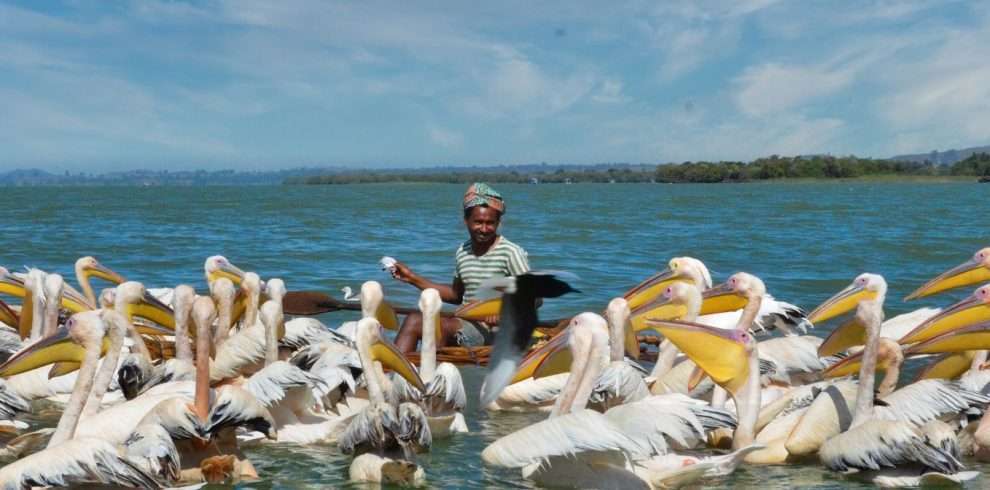 Northern Ethiopia Tour